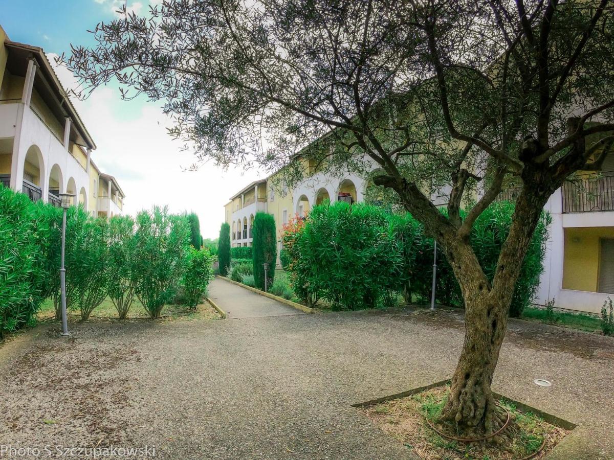 Centre Carcassonne,sans Vis A Vis,terrasse,piscine *
